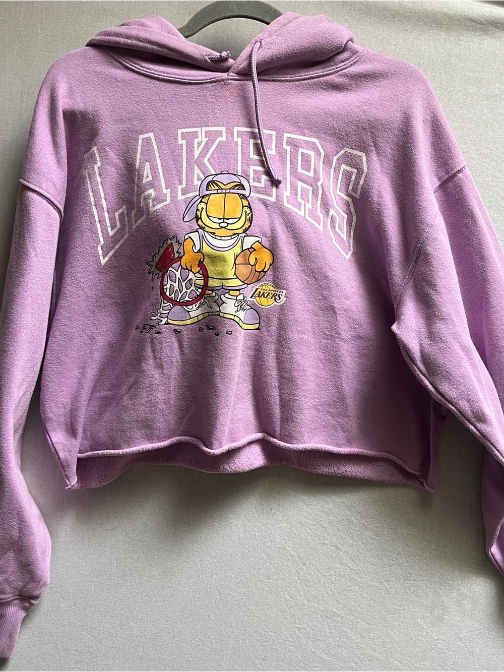 Garfield x NBA Graphic Cropped Hoodie Sweater Lakers Nickelodeon Sz M